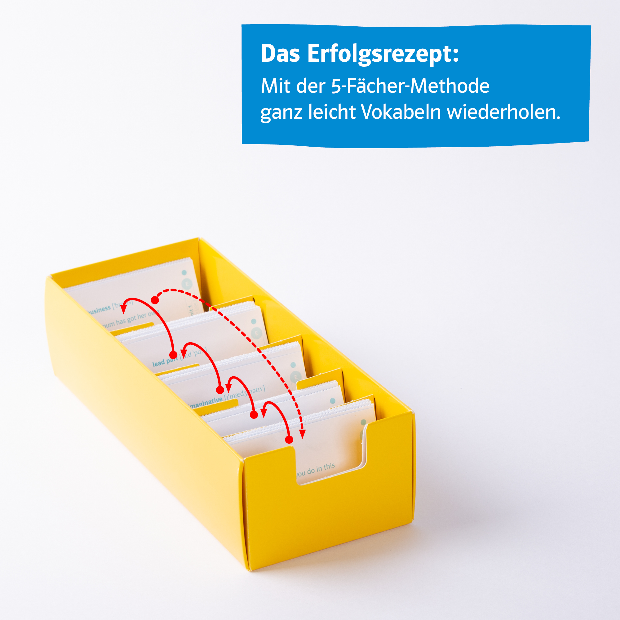 Klett Green Line 3 Bayern Klasse 7 Vokabel-Lernbox zum Schulbuch